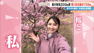 「人生初の大吉かも!?」 CBC友廣アナが「豊川稲荷」でおみくじリベンジ!迫力満点の「狐塚」にも大興奮!